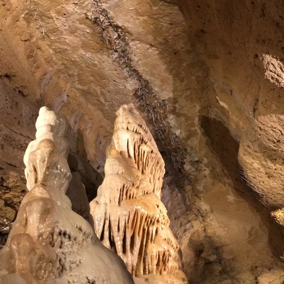 Meet your Posher, Jennifer - Picture 3 of 6